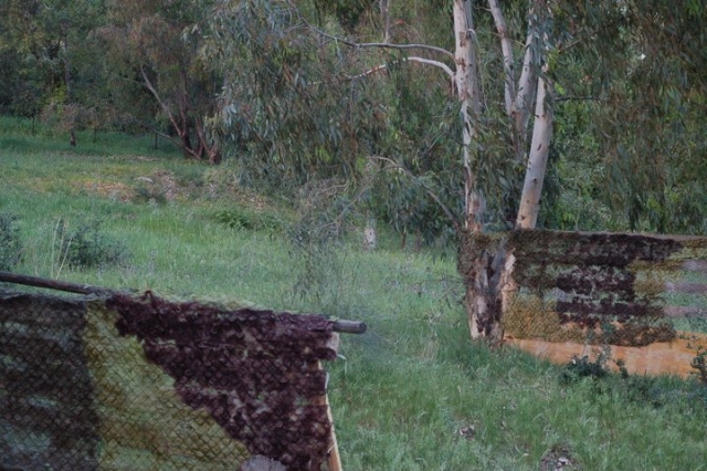 El campo 3